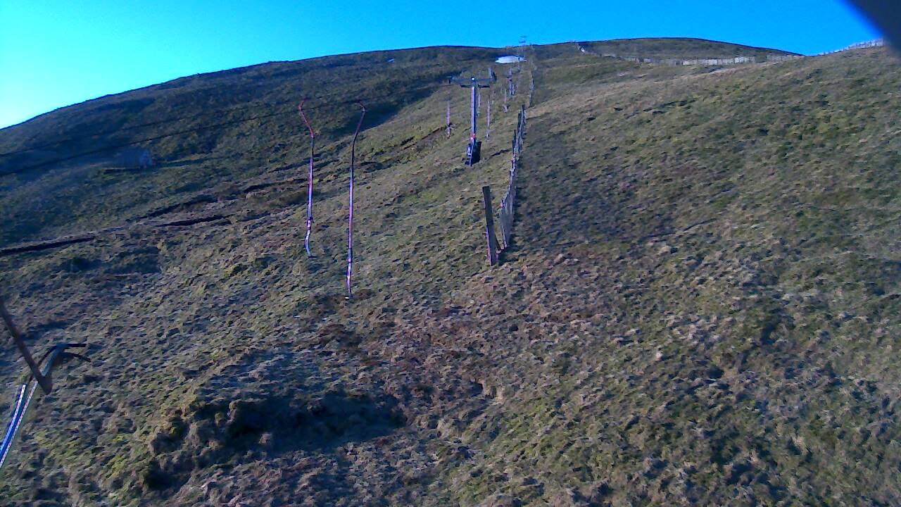 Image from 2022/03/19 for Tow Hut