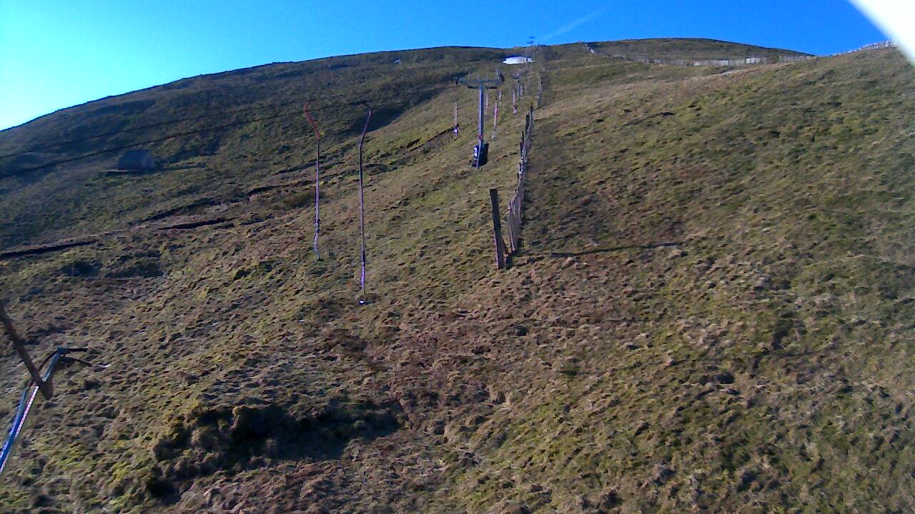 Image from 2022/03/19 for Tow Hut