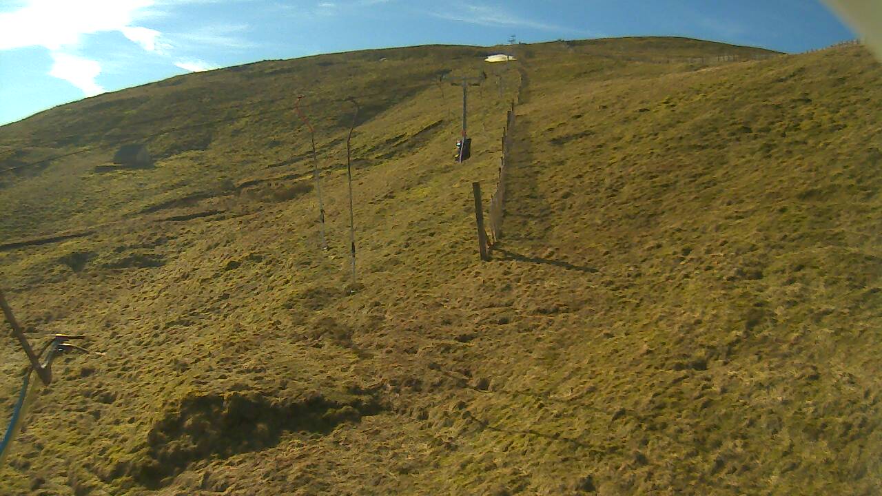 Image from 2022/03/19 for Tow Hut