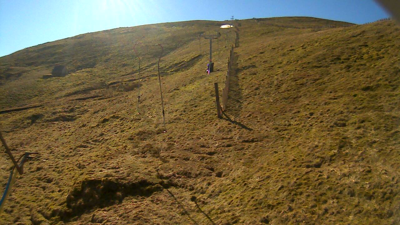 Image from 2022/03/19 for Tow Hut