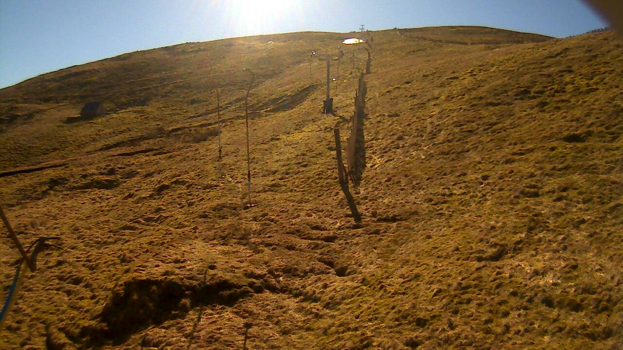 Image from 2022/03/19 for Tow Hut