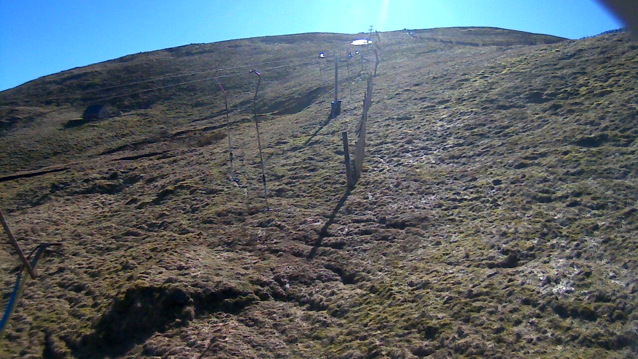 Image from 2022/03/19 for Tow Hut