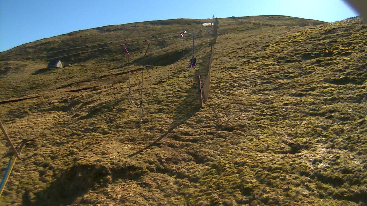 Image from 2022/03/19 for Tow Hut