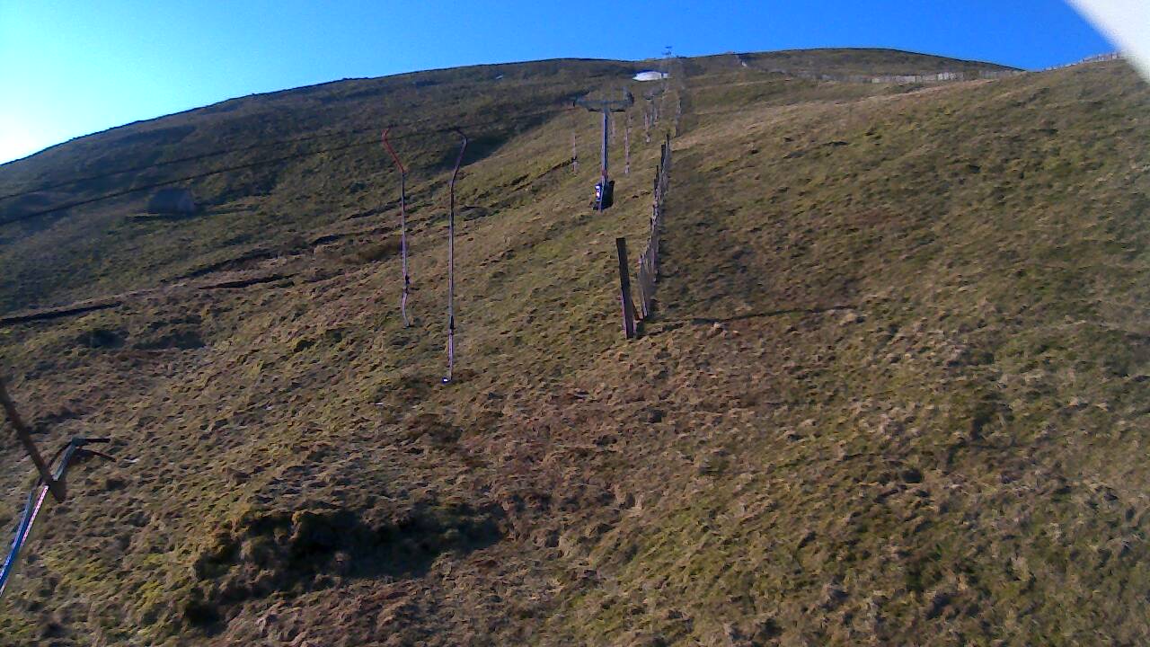 Image from 2022/03/20 for Tow Hut