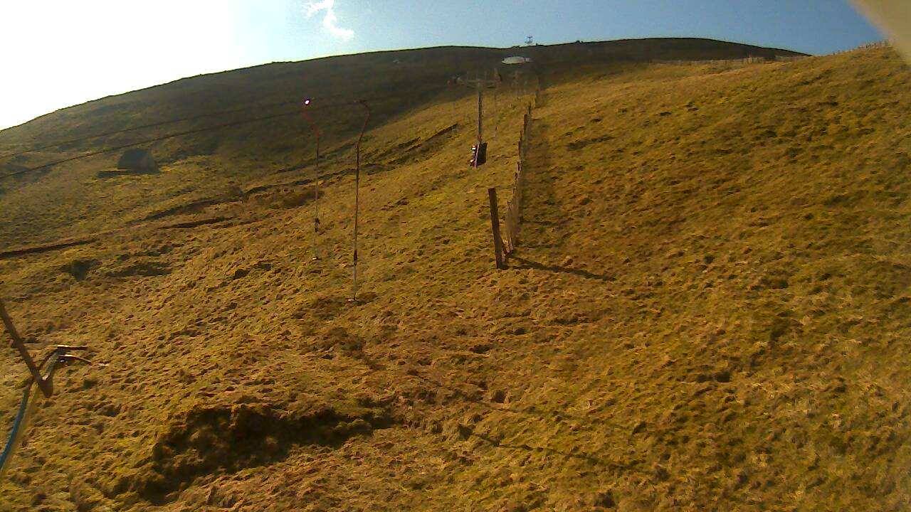 Image from 2022/03/20 for Tow Hut