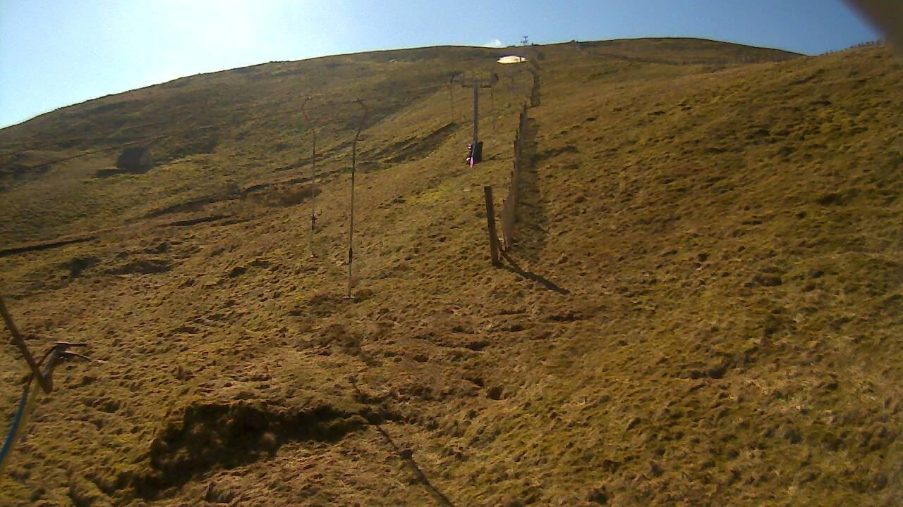 Image from 2022/03/20 for Tow Hut