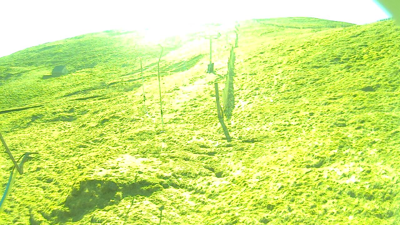 Image from 2022/03/20 for Tow Hut