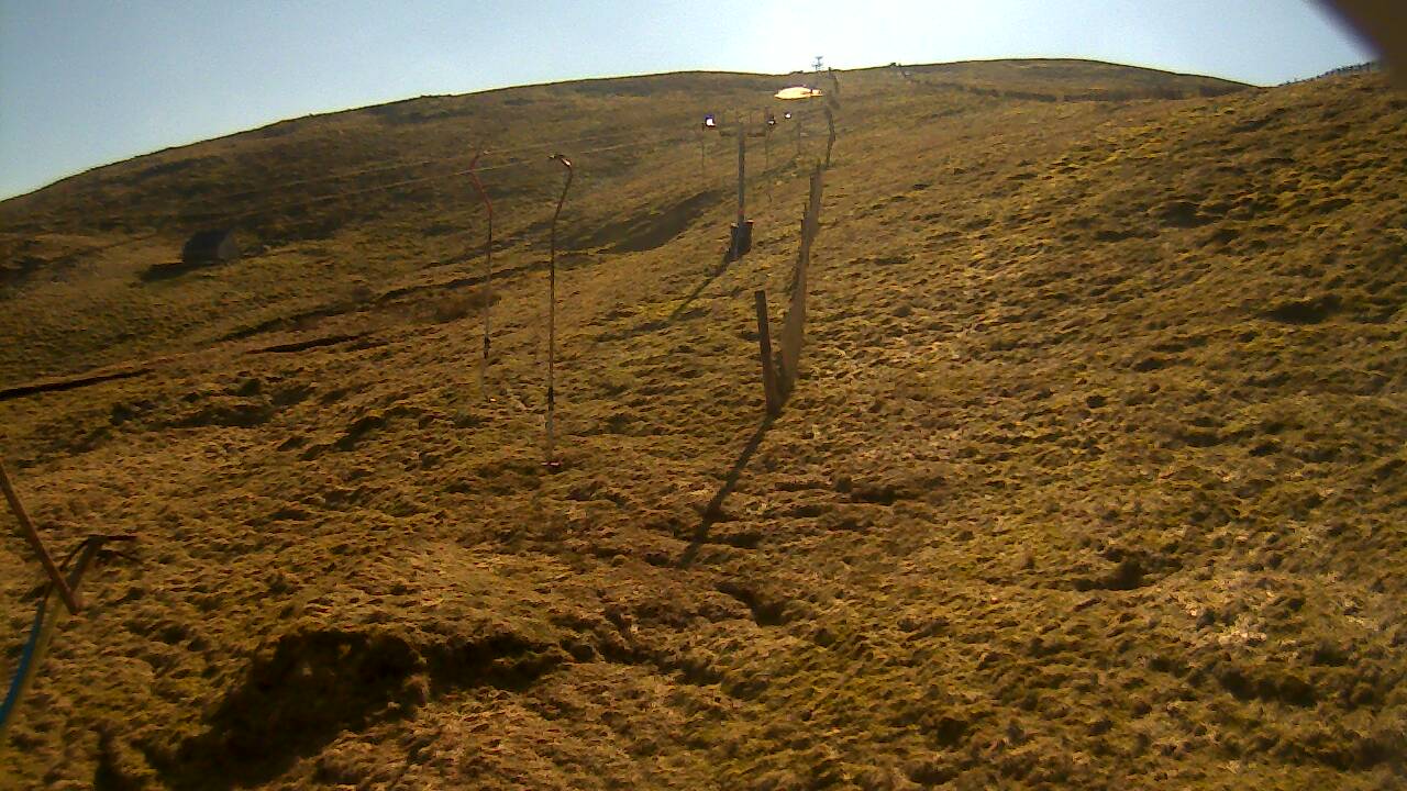 Image from 2022/03/20 for Tow Hut