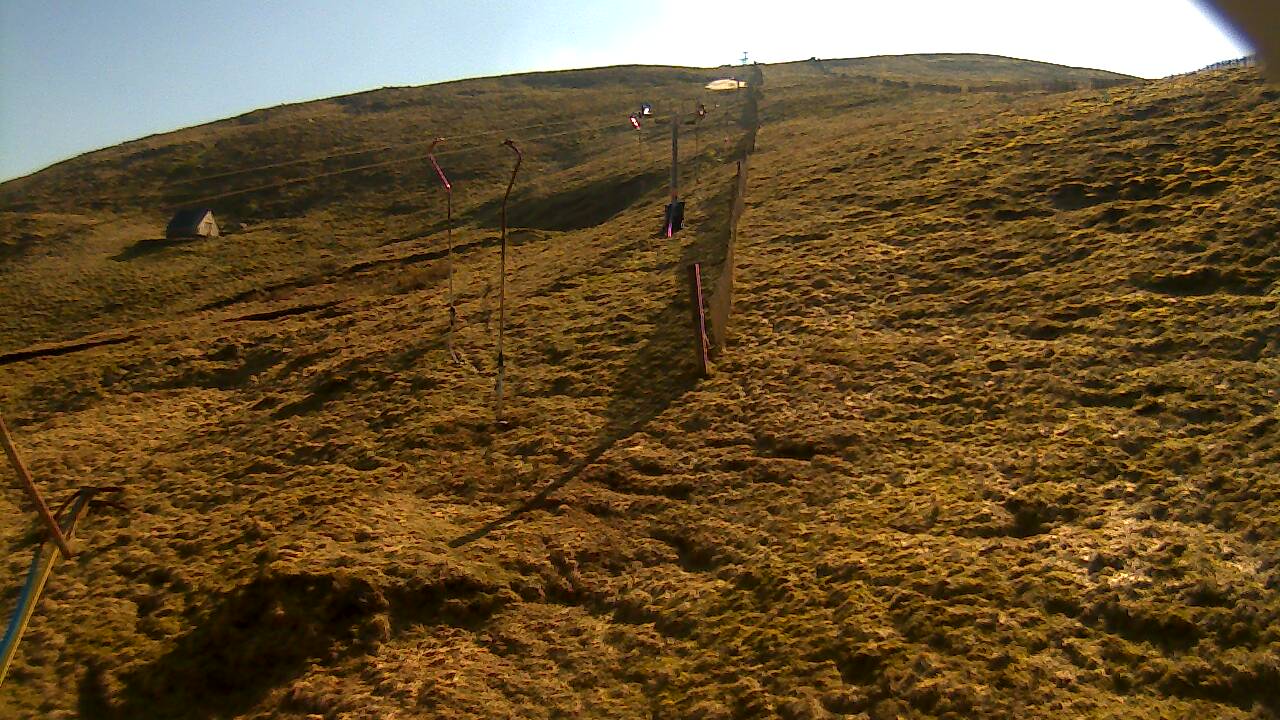 Image from 2022/03/20 for Tow Hut