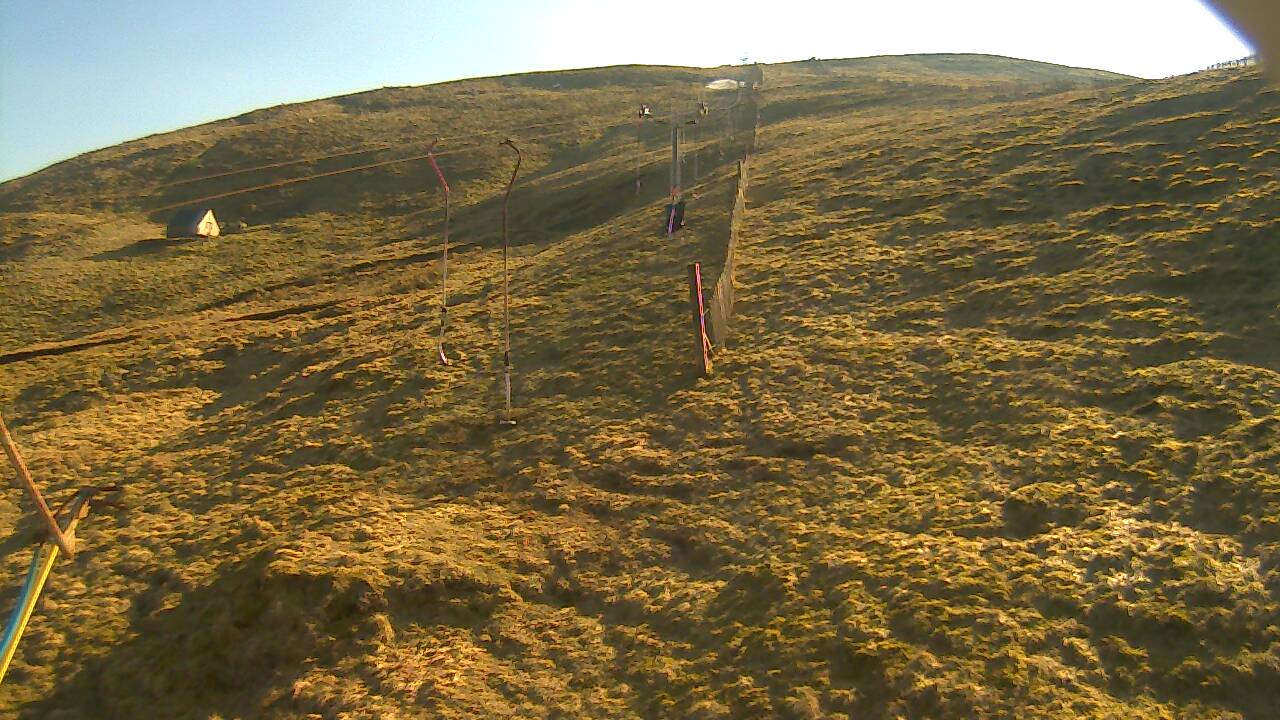 Image from 2022/03/20 for Tow Hut