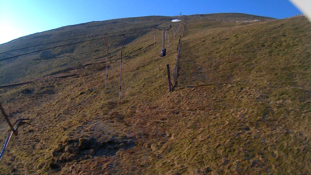 Image from 2022/03/21 for Tow Hut