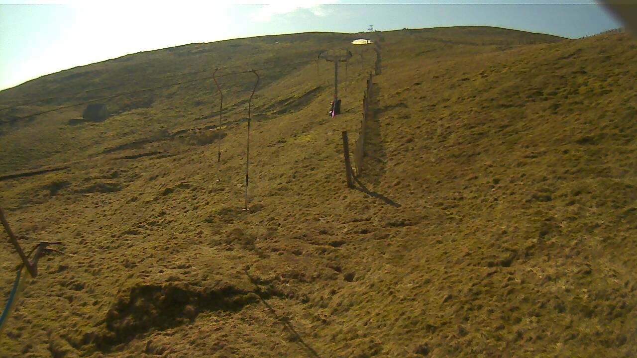 Image from 2022/03/21 for Tow Hut