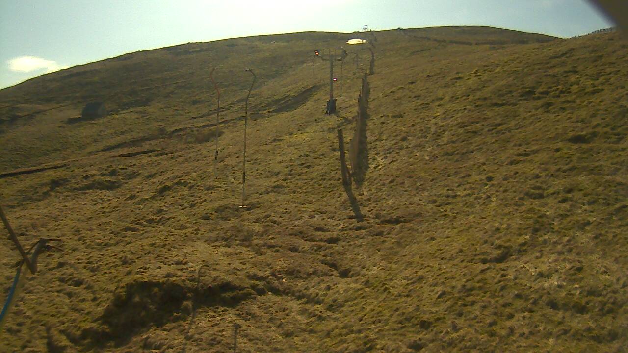 Image from 2022/03/21 for Tow Hut