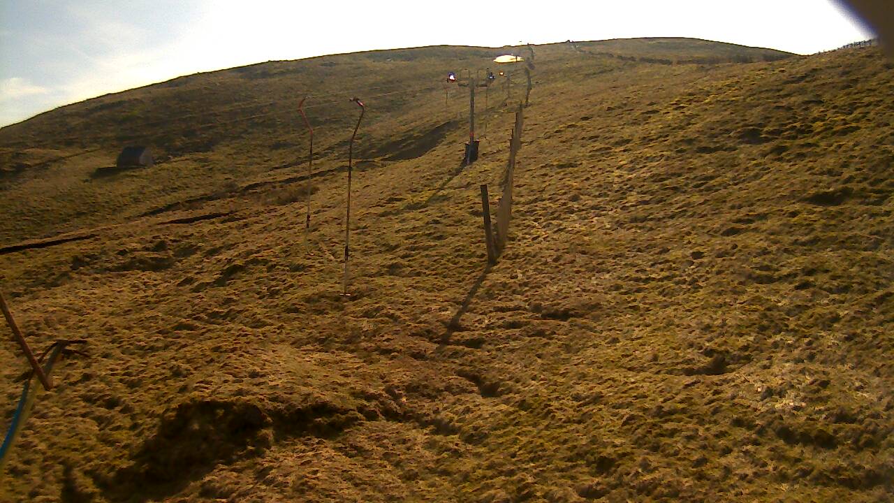 Image from 2022/03/21 for Tow Hut