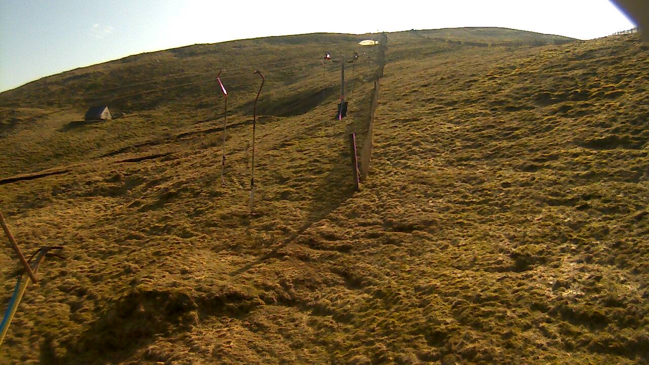 Image from 2022/03/21 for Tow Hut