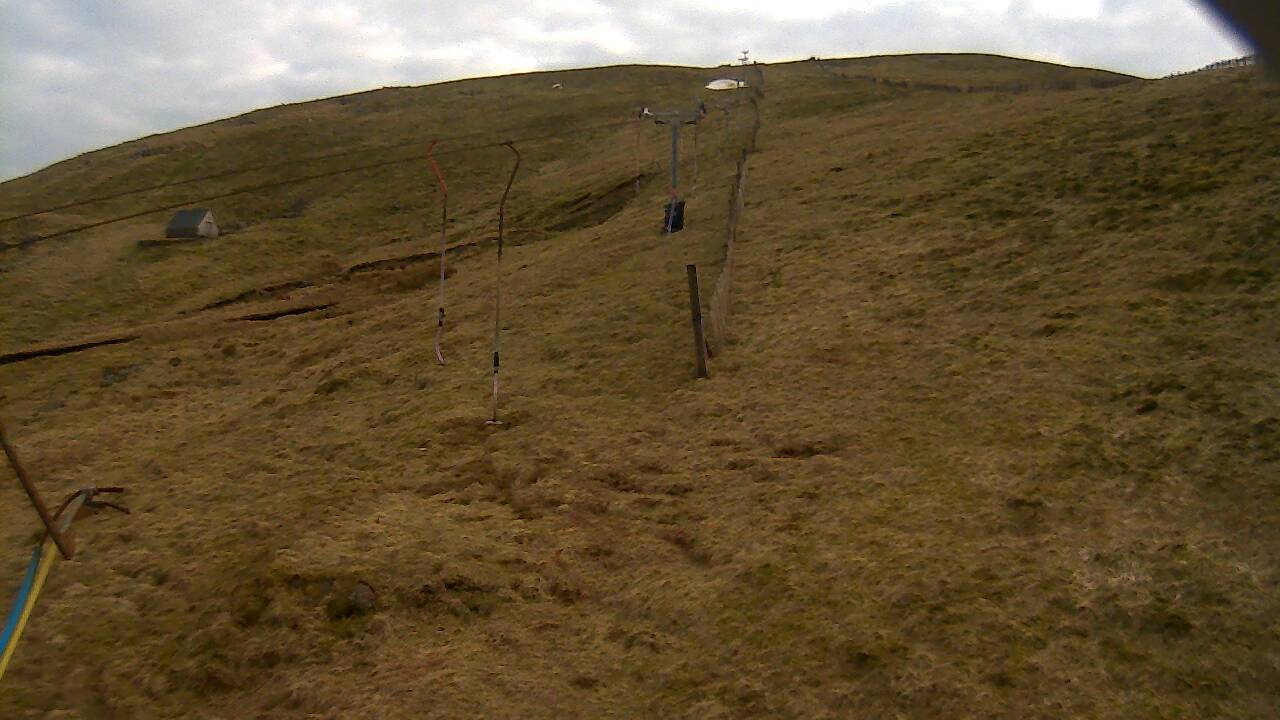 Image from 2022/03/21 for Tow Hut