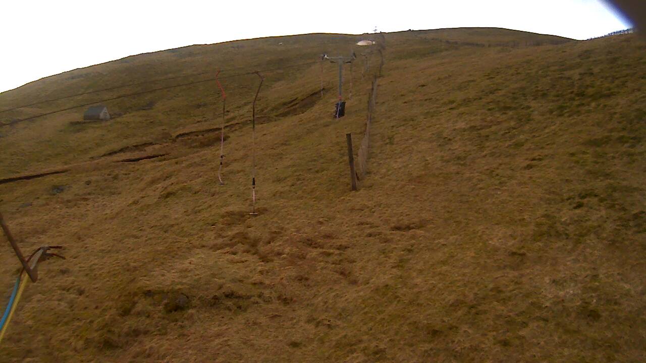 Image from 2022/03/22 for Tow Hut