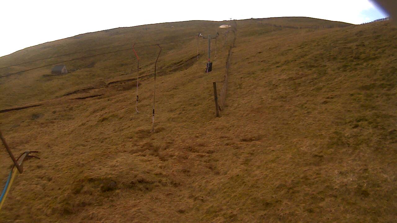 Image from 2022/03/22 for Tow Hut