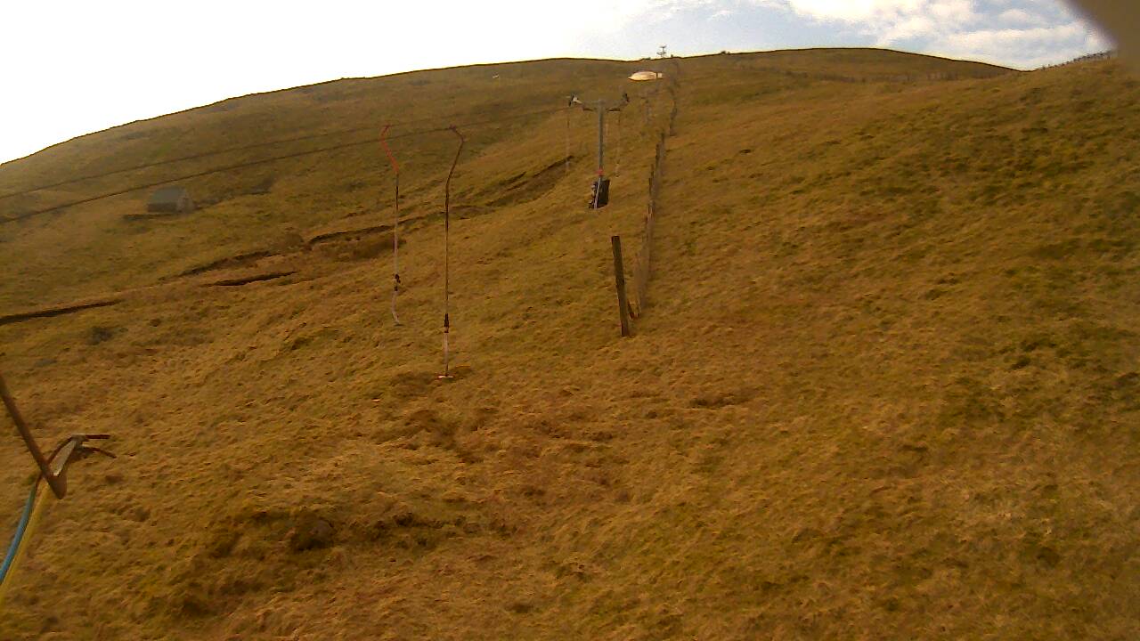 Image from 2022/03/22 for Tow Hut