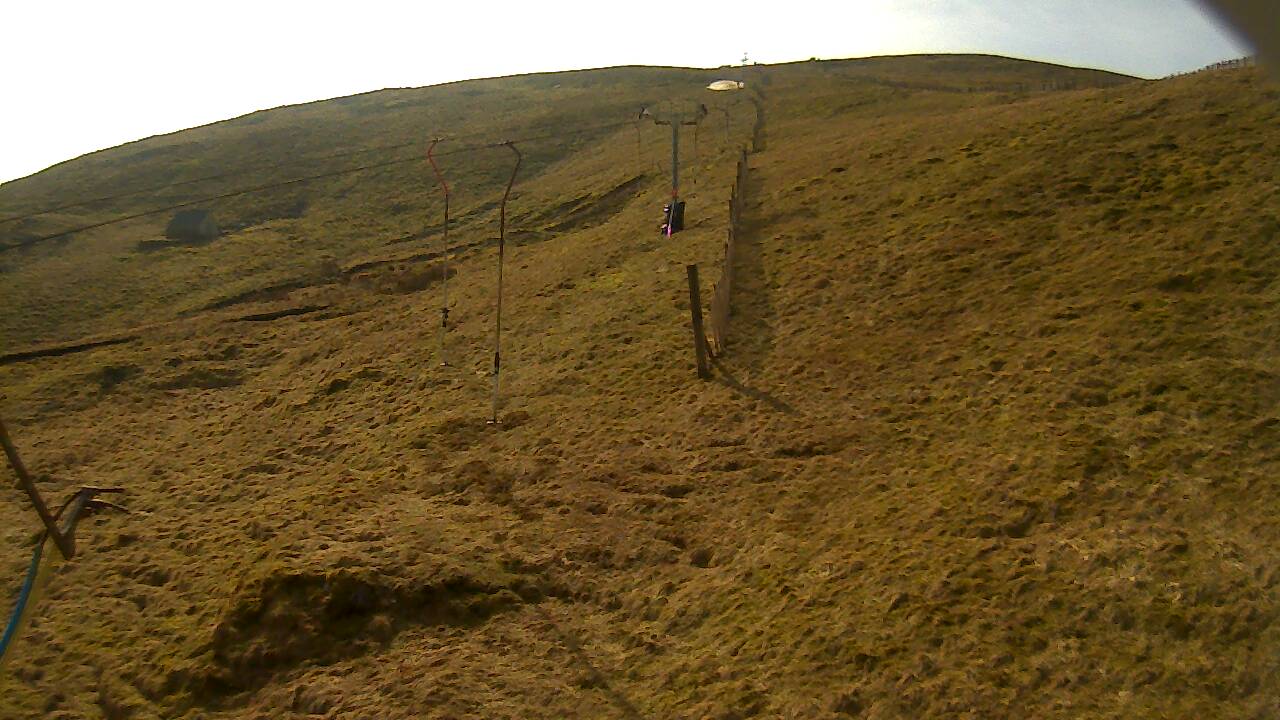 Image from 2022/03/22 for Tow Hut