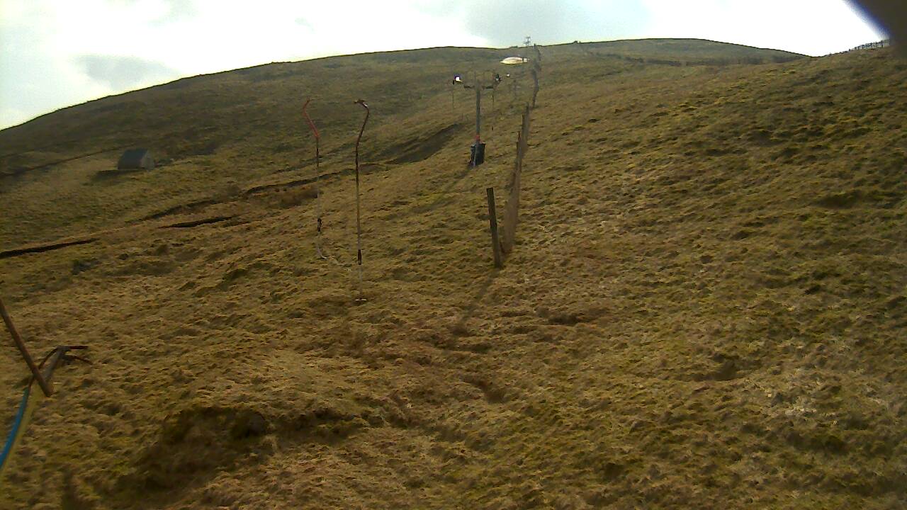 Image from 2022/03/22 for Tow Hut