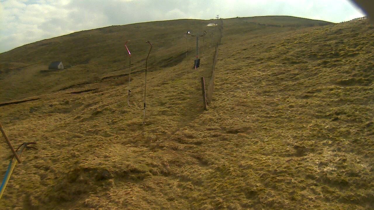 Image from 2022/03/22 for Tow Hut