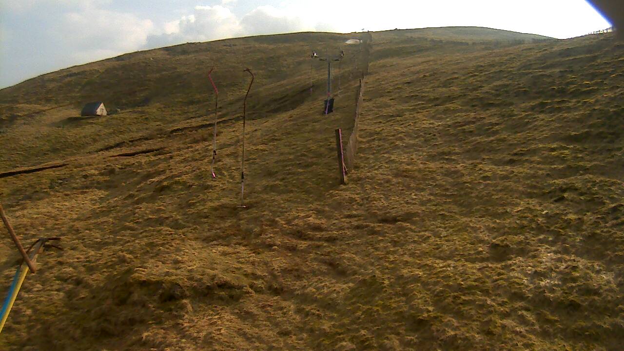 Image from 2022/03/22 for Tow Hut