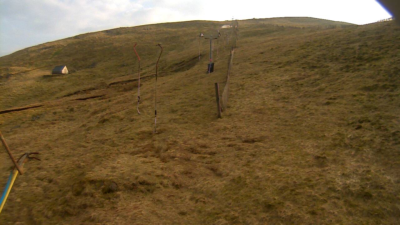 Image from 2022/03/22 for Tow Hut