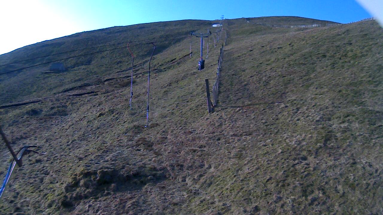 Image from 2022/03/23 for Tow Hut