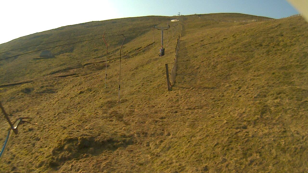 Image from 2022/03/23 for Tow Hut