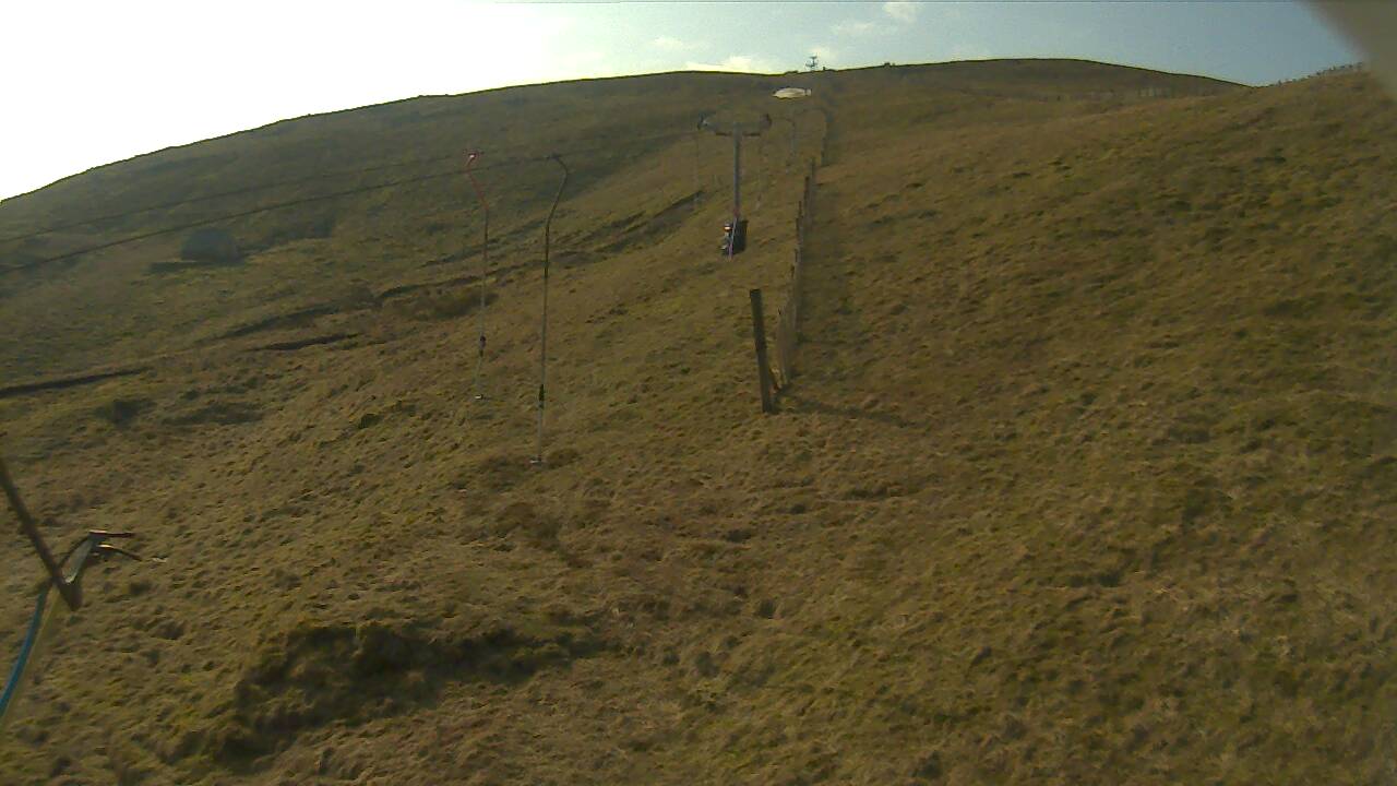 Image from 2022/03/23 for Tow Hut