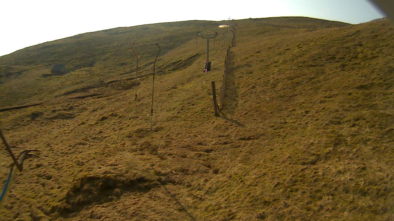 Image from 2022/03/23 for Tow Hut