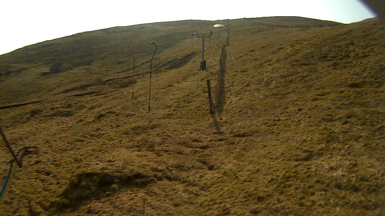 Image from 2022/03/23 for Tow Hut