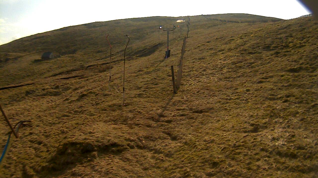 Image from 2022/03/23 for Tow Hut