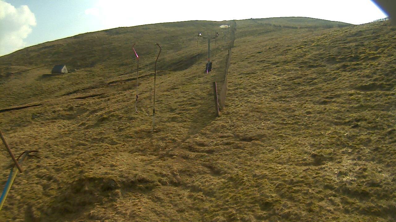 Image from 2022/03/23 for Tow Hut