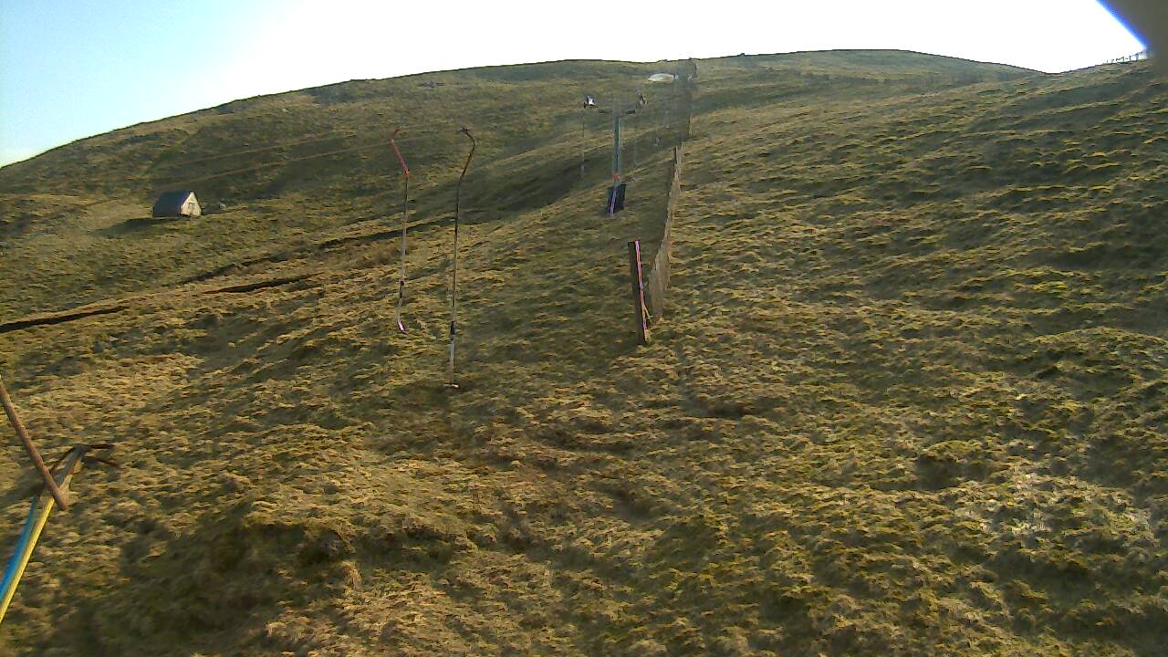 Image from 2022/03/23 for Tow Hut