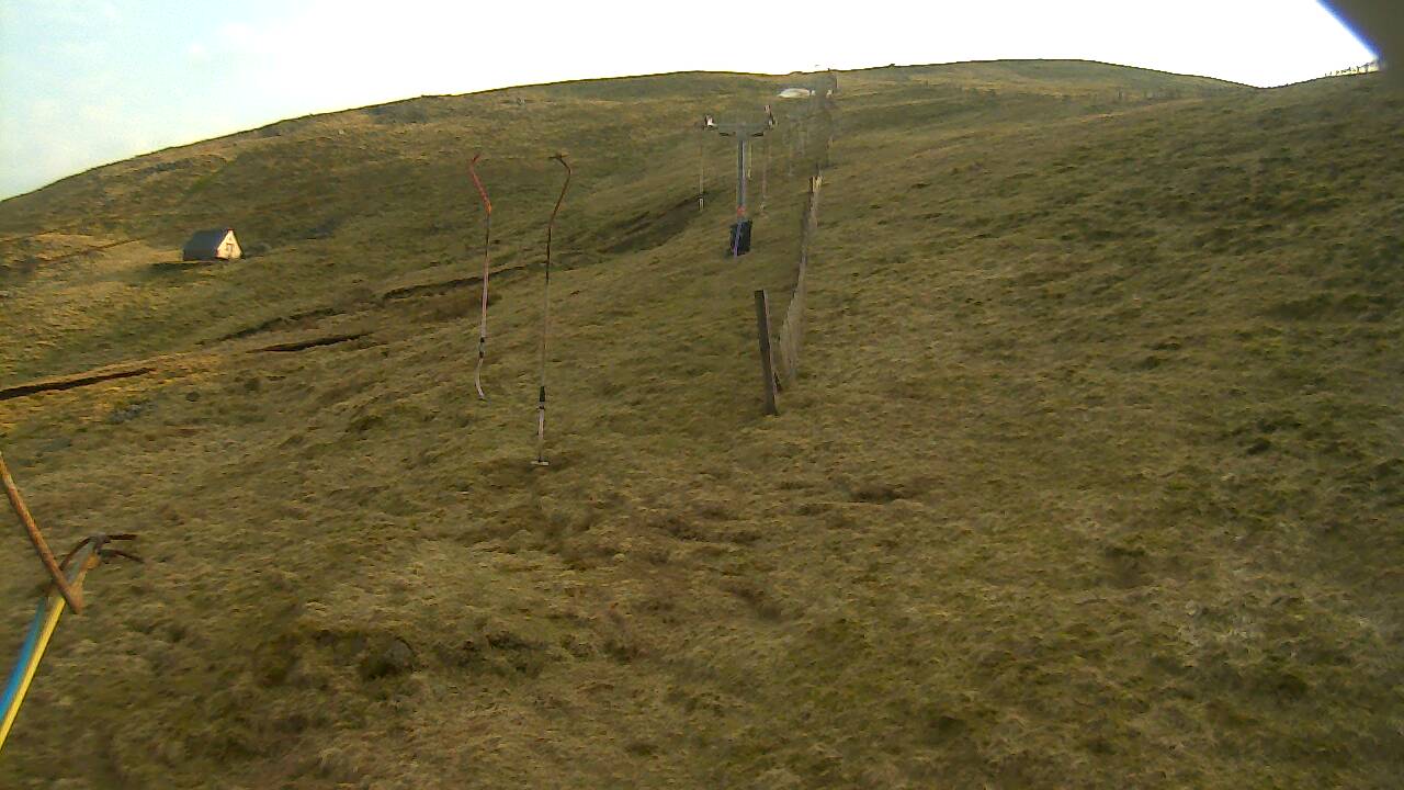 Image from 2022/03/23 for Tow Hut