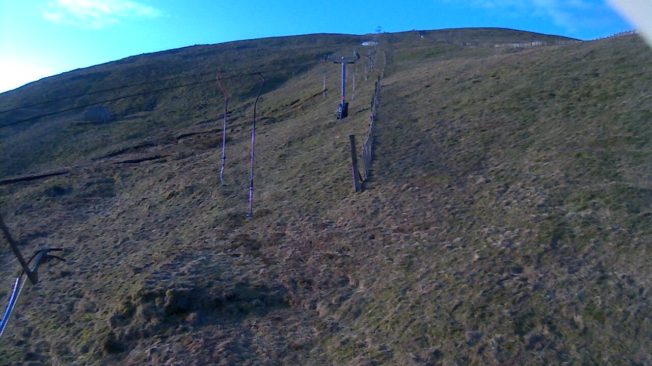 Image from 2022/03/24 for Tow Hut