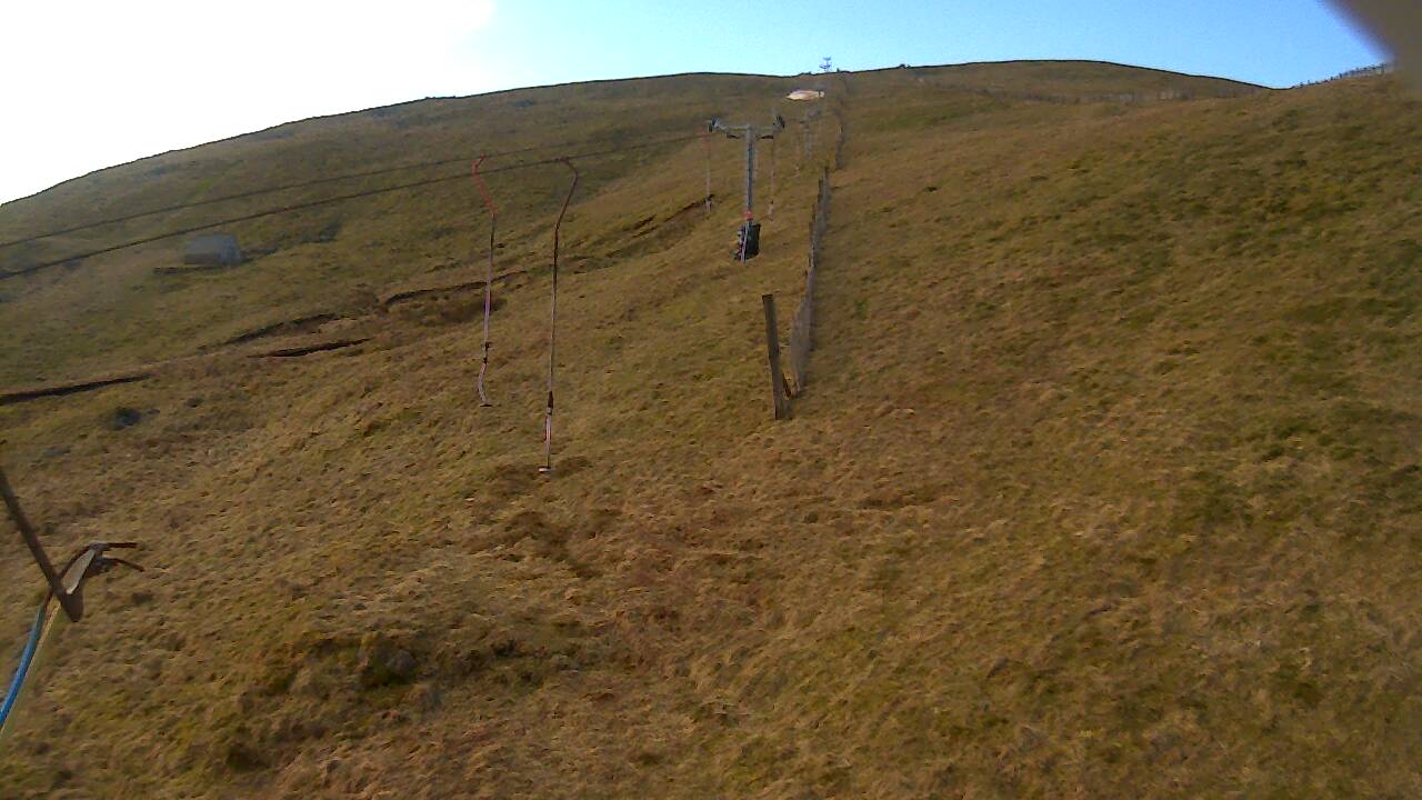 Image from 2022/03/24 for Tow Hut