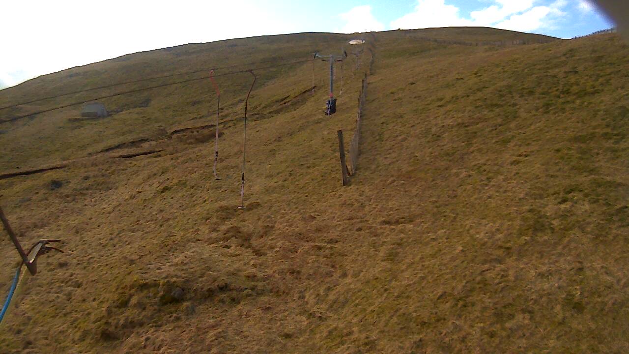 Image from 2022/03/24 for Tow Hut