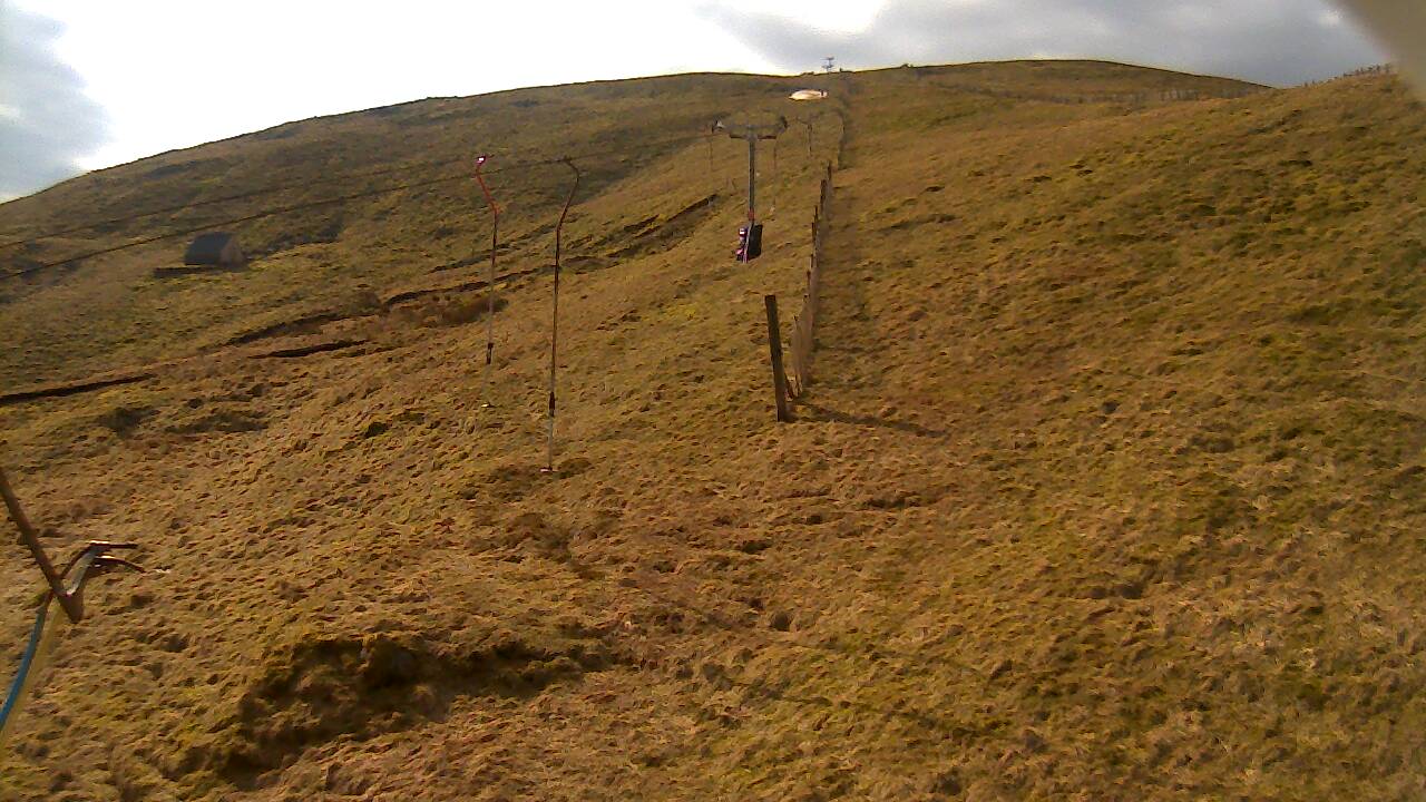 Image from 2022/03/24 for Tow Hut