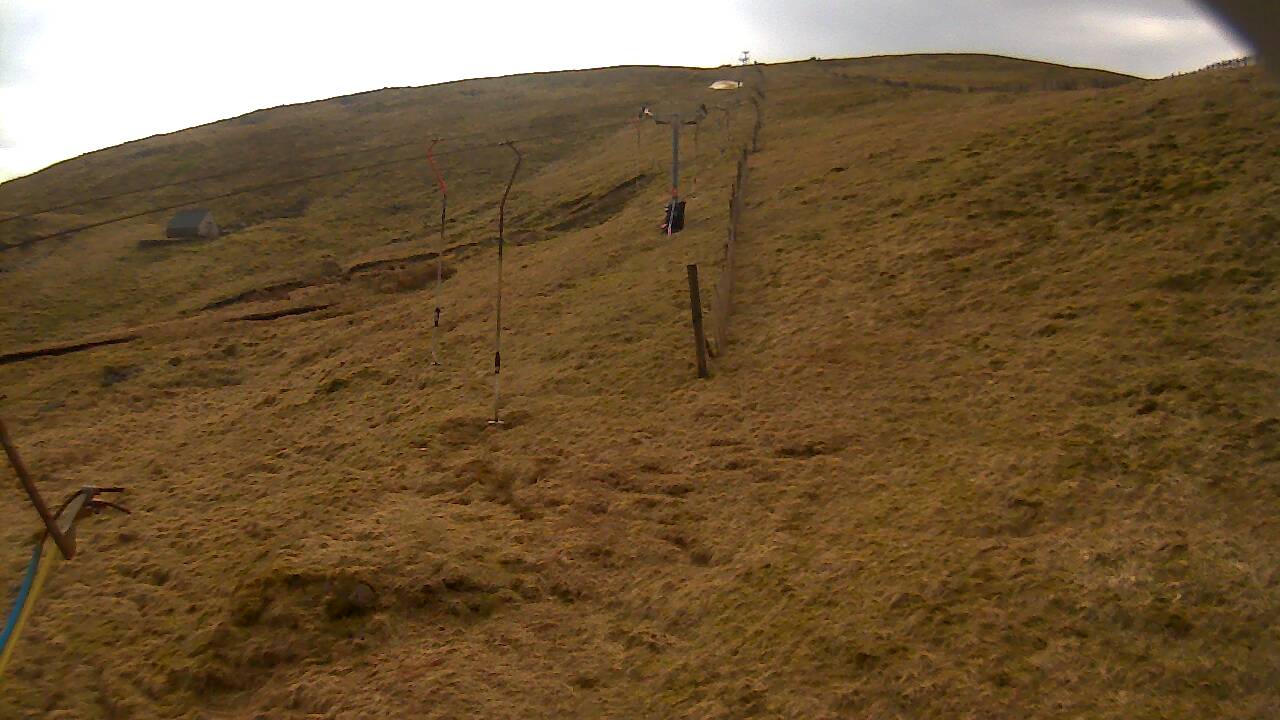 Image from 2022/03/24 for Tow Hut