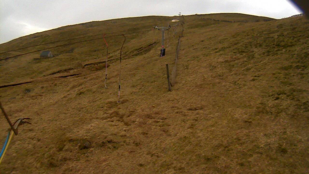 Image from 2022/03/24 for Tow Hut