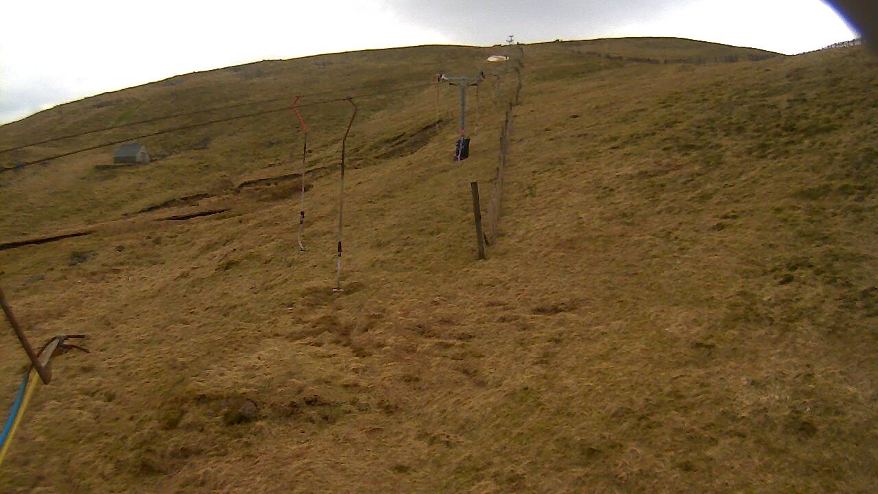 Image from 2022/03/24 for Tow Hut