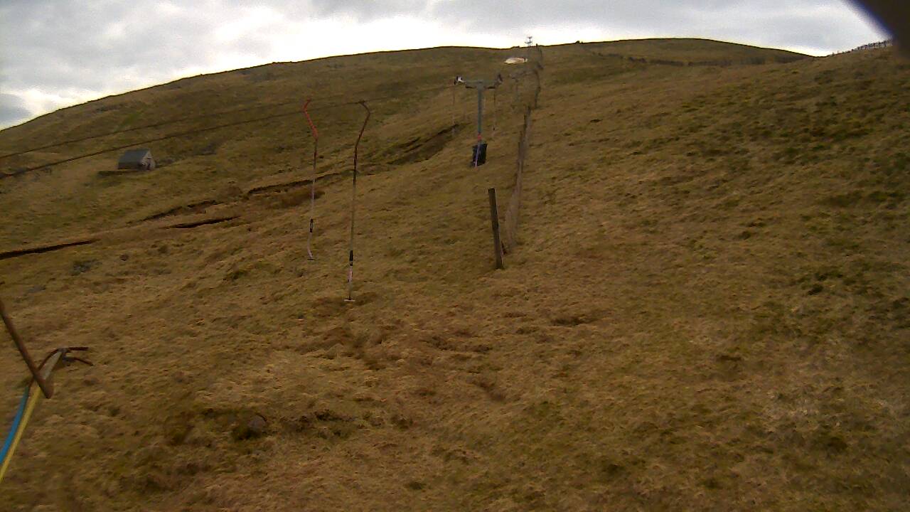 Image from 2022/03/24 for Tow Hut