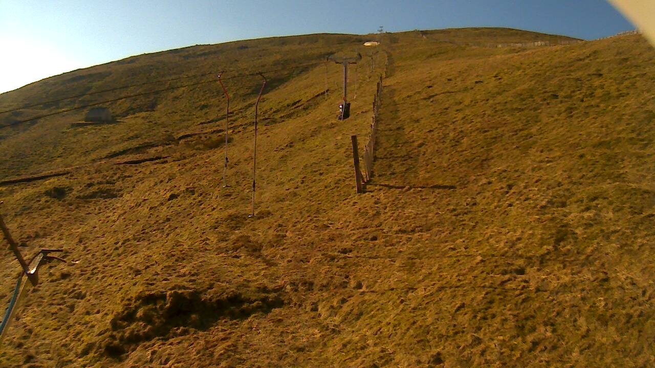 Image from 2022/03/25 for Tow Hut