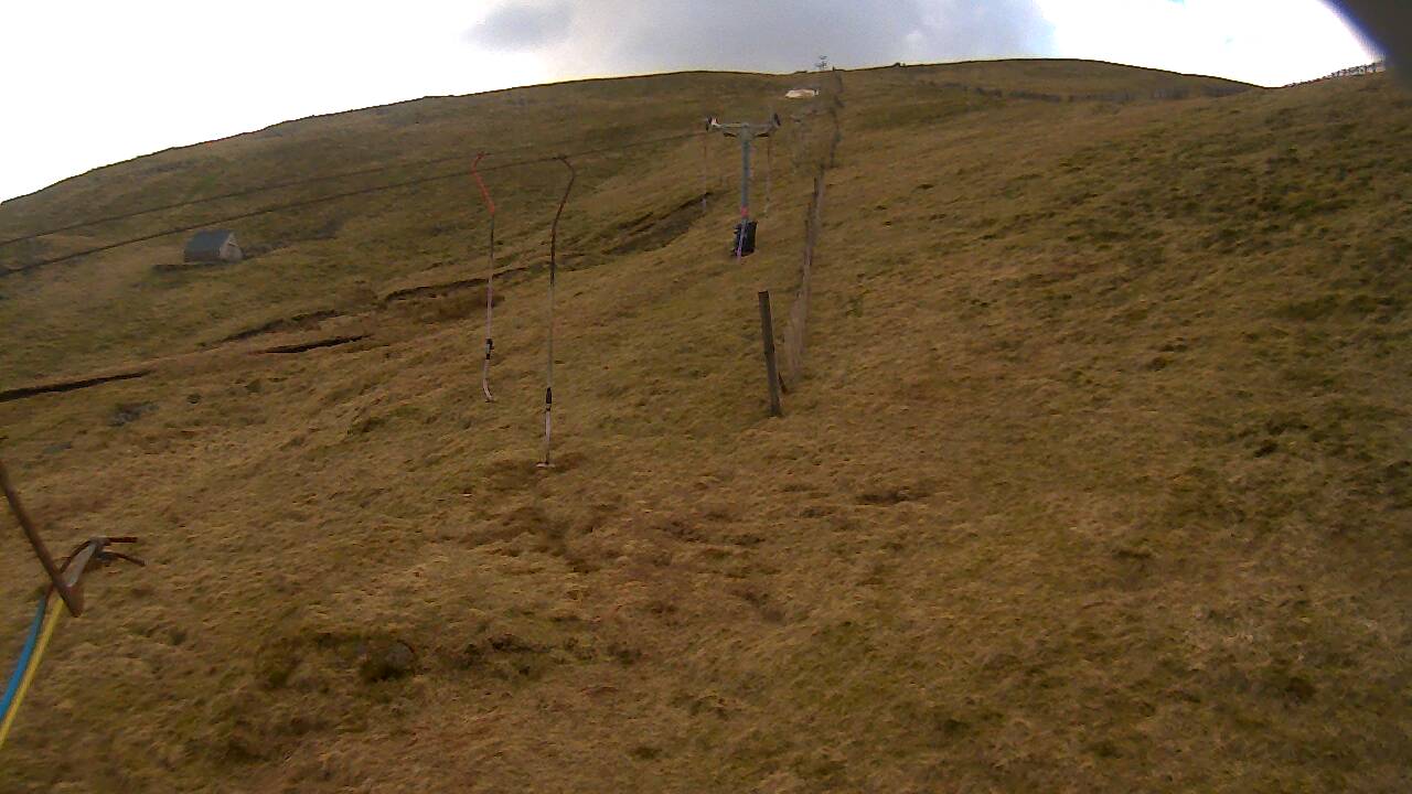 Image from 2022/03/25 for Tow Hut