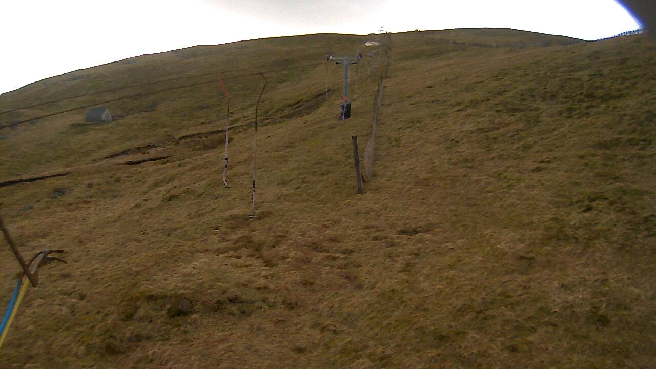 Image from 2022/03/25 for Tow Hut