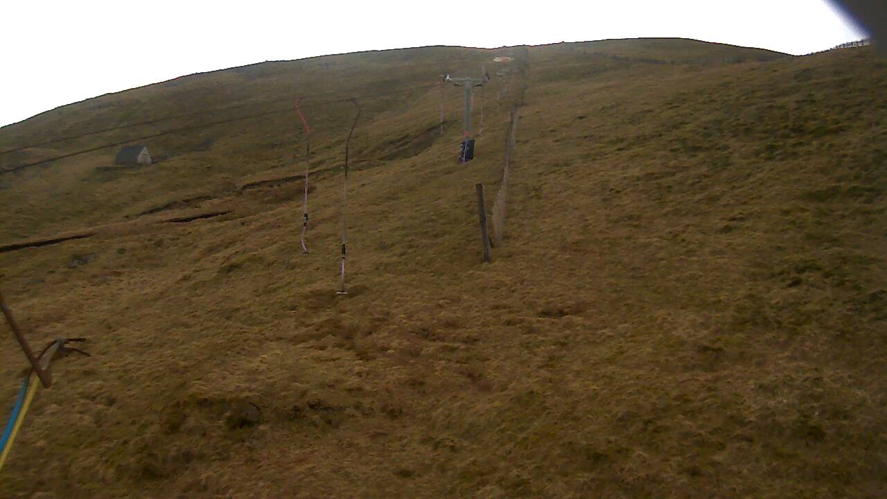 Image from 2022/03/25 for Tow Hut