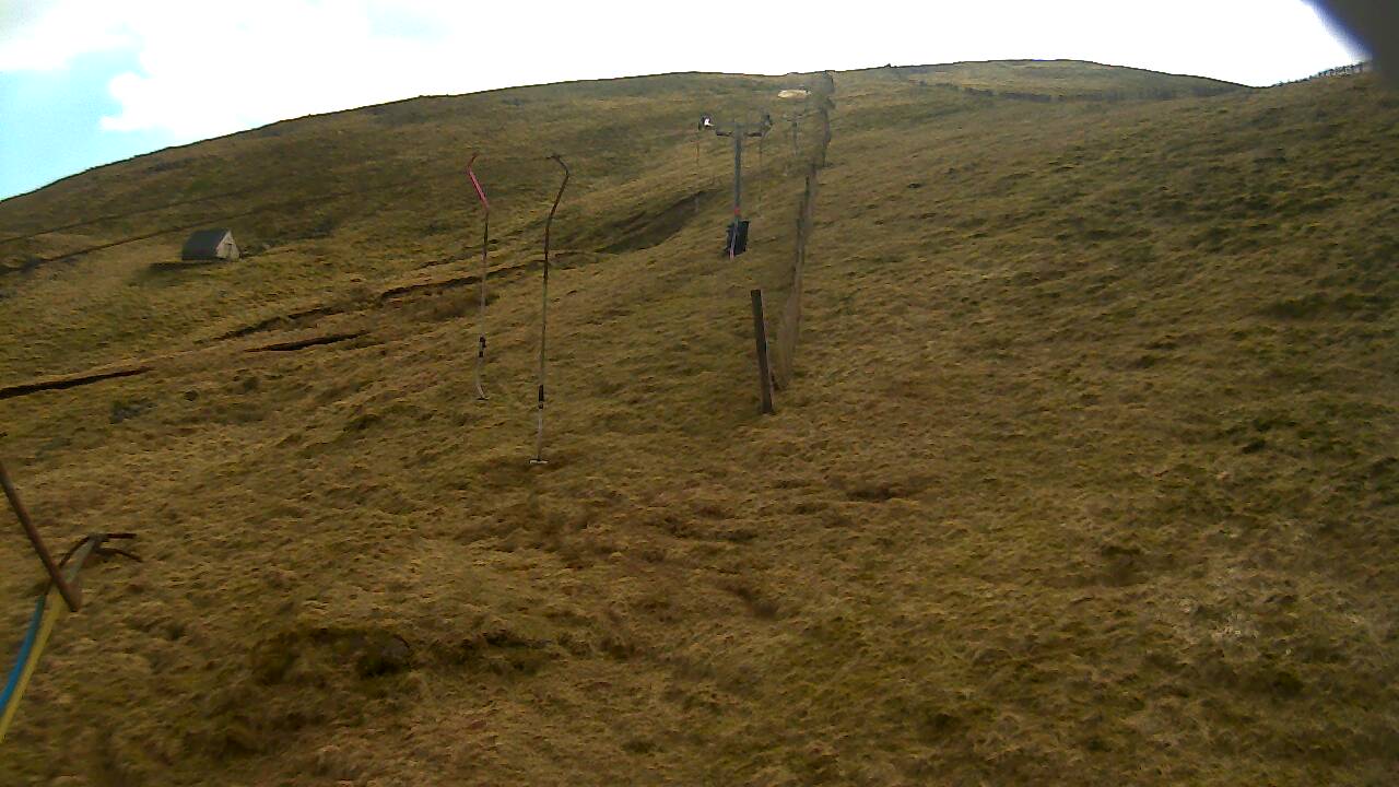 Image from 2022/03/25 for Tow Hut